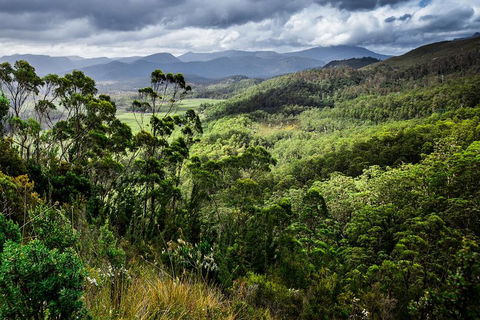 3-Day Tour To The Falls, Mountains, Lake & More Of West Coast Tasmania - Accommodation Georgetown 0