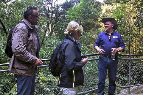 Private Blue Mountains Day Tour Including Wildlife Park - Accommodation Georgetown 3