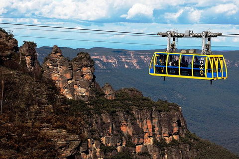 Private Blue Mountains Day Tour Including Wildlife Park - Accommodation Georgetown 5