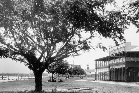 Cairns History Walking Tour - Accommodation Georgetown 2