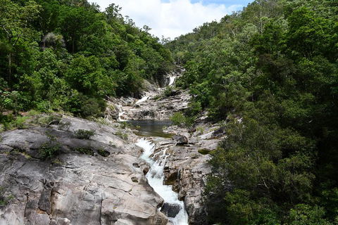 Behana Canyon Rainforest And Waterfall Experience - Accommodation Georgetown 1