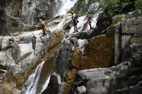 Behana Canyon Rainforest And Waterfall Experience - Accommodation Georgetown 2