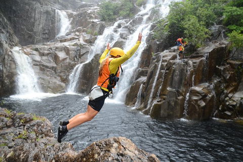 Behana Canyon Rainforest And Waterfall Experience - Accommodation Georgetown 3