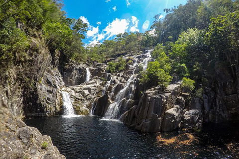 Behana Canyon Rainforest And Waterfall Experience - Accommodation Georgetown 5