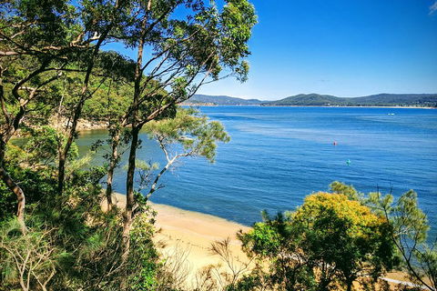 Central Coast Explorer With 'Personalised Sydney Tours' - Accommodation Georgetown 0