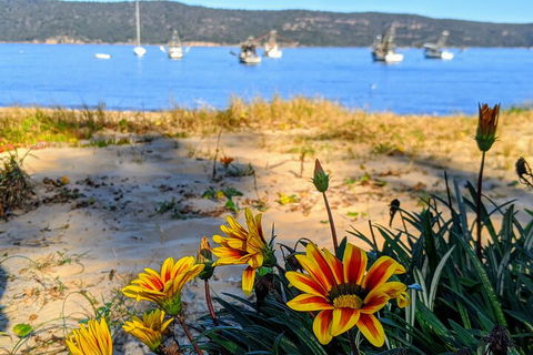 Central Coast Explorer With 'Personalised Sydney Tours' - Accommodation Georgetown 2