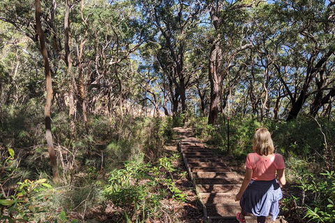 Central Coast Explorer With 'Personalised Sydney Tours' - Accommodation Georgetown 4