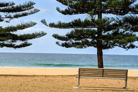 Manly & Sydney's Northern Beaches With 'Personalised Sydney Tours' - Accommodation Georgetown 0