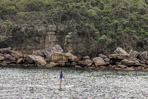 Manly & Sydney's Northern Beaches With 'Personalised Sydney Tours' - Accommodation Georgetown 3