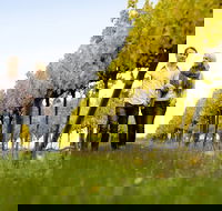 2-Day Private Daylesford  Macedon Ranges Gourmet Food Trail Tour from Melbourne - Accommodation Georgetown