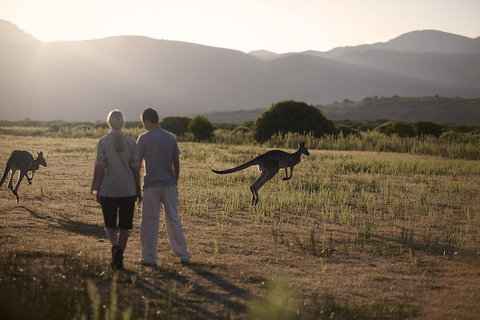 Overnight Daylesford And Macedon Ranges Gourmet Food Trail Tour From Melbourne - Accommodation Georgetown 1