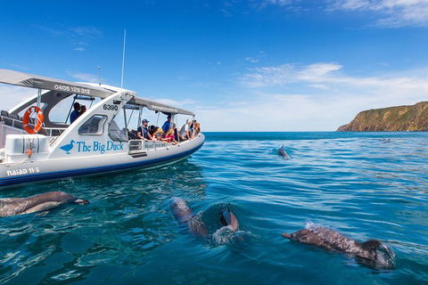 Victor Harbor And McLaren Vale Wine Region Day Tour - Accommodation Georgetown 1