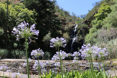 Self-Guided Waterfall Gully To Mount Lofty Hike From Adelaide - Accommodation Georgetown 3