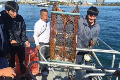 Crab Trip From Gold Coast - Accommodation Georgetown 1