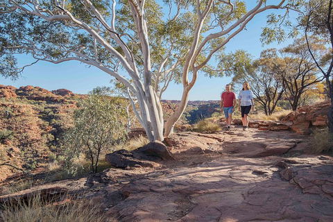 3-Day Tour From Uluru (Ayers Rock) To Alice Springs Via Kings Canyon - Accommodation Georgetown 1
