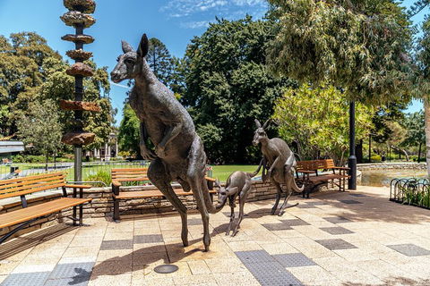 Highlights & Hidden Gems With Locals: Best Of Perth Private Tour - Accommodation Georgetown 3