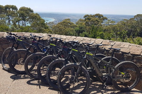 Fully Guided E-Mountain Bike Tour On The Beautiful Mornington Peninsula. - Accommodation Georgetown 4