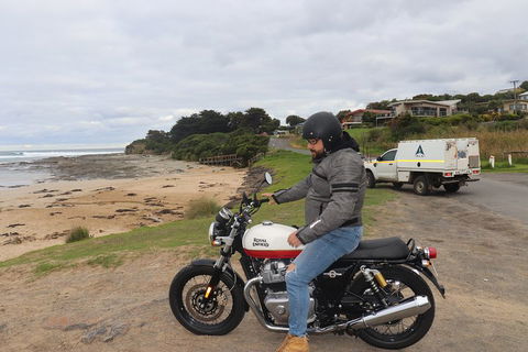Royal Enfield Interceptor 650cc - Accommodation Georgetown 3