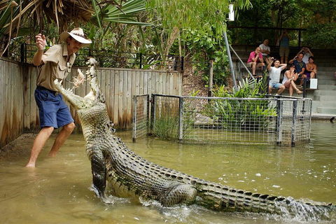 Hartley's Crocodile Adventure Half-Day Tour - Accommodation Georgetown 2