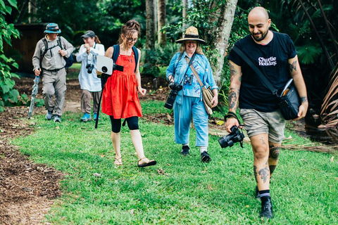 Let's Go Buggin & Let's Go Shroomin - Photography & Nature Walking Tours - Accommodation Georgetown 0