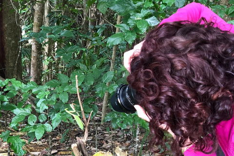 Let's Go Buggin & Let's Go Shroomin - Photography & Nature Walking Tours - Accommodation Georgetown 1
