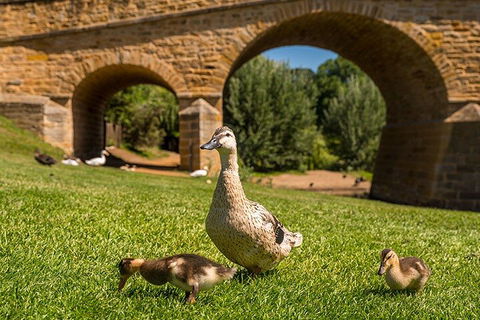 Richmond Historic Afternoon Tour From Hobart - Accommodation Georgetown 1