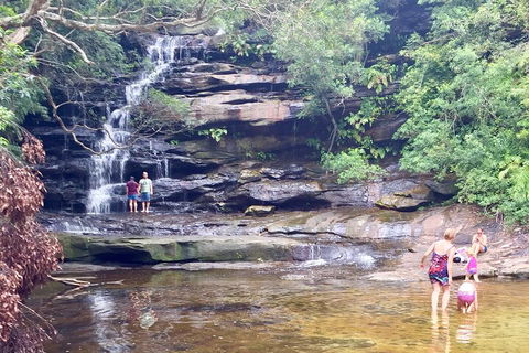 Central Coast Private Tour From Sydney, With Australian Reptile Park Option - Accommodation Georgetown 0