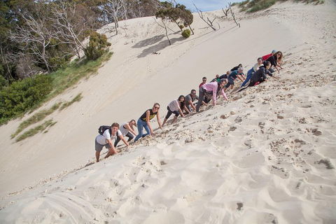 3 Day Tasmanian Wild West Coast Tour From Hobart To Launceston - Accommodation Georgetown 2