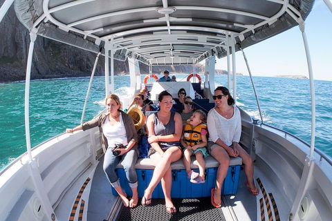 Seal Island Boat Tour From Victor Harbor - Accommodation Georgetown 1