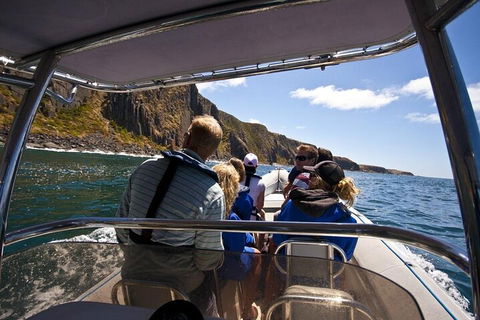Seal Island Boat Tour From Victor Harbor - Accommodation Georgetown 2