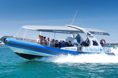 Seal Island Boat Tour From Victor Harbor - Accommodation Georgetown 3