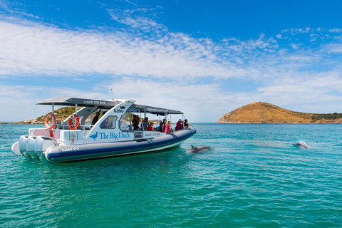 Southern Ocean Adventure From Victor Harbor - Accommodation Georgetown 1