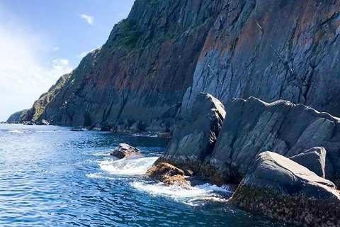 Southern Ocean Adventure From Victor Harbor - Accommodation Georgetown 3