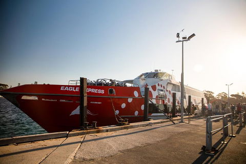 Rottnest Island Round-Trip Ferry From Perth Or Fremantle - Accommodation Georgetown 2