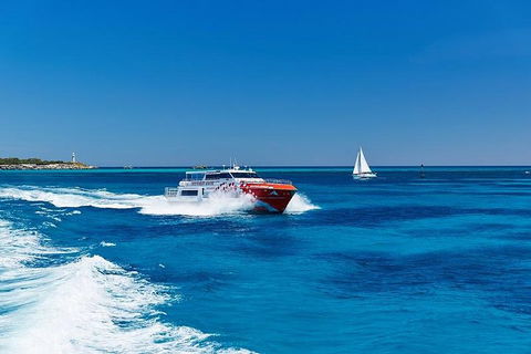 Rottnest Island Round-Trip Ferry From Perth Or Fremantle - Accommodation Georgetown 4
