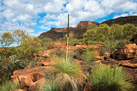 6-Day Eyre Peninsula & Flinders Ranges Adventure Tour - Accommodation Georgetown 1