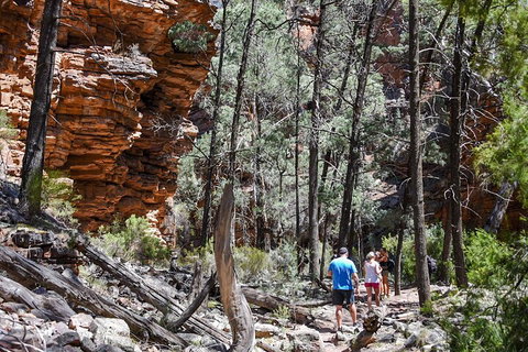 6-Day Eyre Peninsula & Flinders Ranges Adventure Tour - Accommodation Georgetown 5
