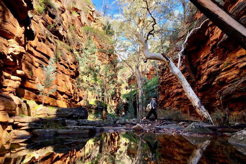 10-Day Adelaide To Perth Adventure Tour - Accommodation Georgetown 5