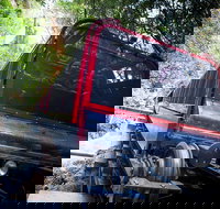 Blue Mountains Hop-on Hop-off Tour with Optional Scenic World Rides - Accommodation Georgetown