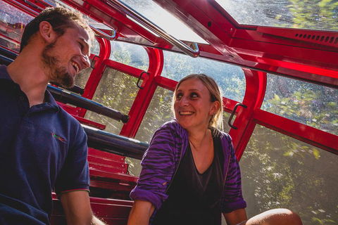Blue Mountains Hop-on Hop-off Tour With Optional Scenic World Rides - Accommodation Georgetown 5