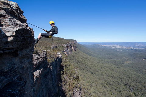 Half-Day Abseiling Adventure In Blue Mountains National Park - Accommodation Georgetown 1