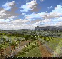 Hunter Valley Wine Tour from Sydney incl Lunch Cheese Chocolate and Distillery - Accommodation Georgetown