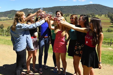 Hunter Valley Wine Tour From Sydney Incl Lunch, Cheese, Chocolate And Distillery - Accommodation Georgetown 3