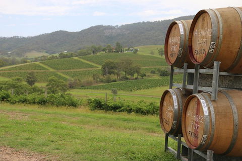 Hunter Valley Wine Tour From Sydney Incl Lunch, Cheese, Chocolate And Distillery - Accommodation Georgetown 5
