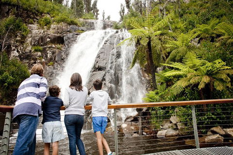 Lake Mountain Snow Trip Including Yarra Valley Chocolaterie From Melbourne - Accommodation Georgetown 0