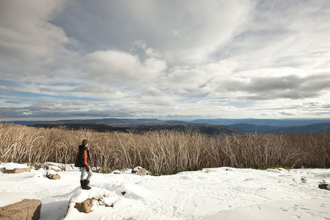Lake Mountain Snow Trip Including Yarra Valley Chocolaterie From Melbourne - Accommodation Georgetown 5