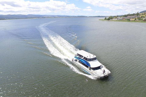 2.5 Hour Morning Discovery Cruise Including Sailing Into The Cataract Gorge - Accommodation Georgetown 2