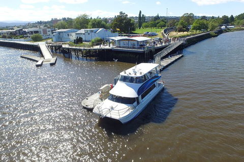 2.5 Hour Morning Discovery Cruise Including Sailing Into The Cataract Gorge - Accommodation Georgetown 3