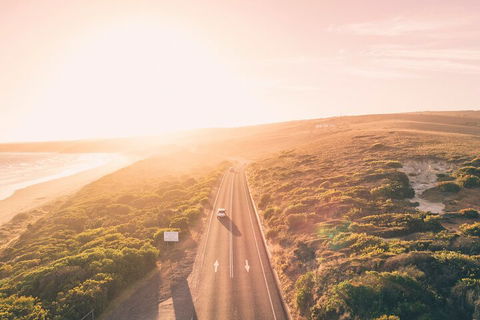 Great Ocean Road & Grampians National Park Tour - 3 Days, 2 Nights - Accommodation Georgetown 1