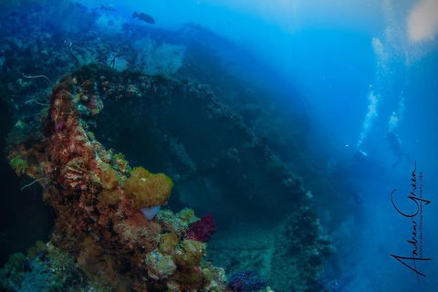 Scuba Dive The S.S. Yongala Wreck On The Great Barrier Reef. - Accommodation Georgetown 3